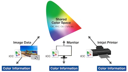Les profils ICC traduisent les informations sur les couleurs d’un espace colorimétrique dans la langue du matériel et vice-versa.