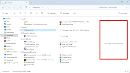 En désélectionnant le gestionnaire d'aperçu, vous renoncez à l'aperçu.