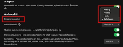 Als je een slechte netwerkdekking hebt, kun je Spotify ad hoc de kwaliteit laten verlagen.